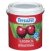Tersinol Exterior-Interior Mate x10lts