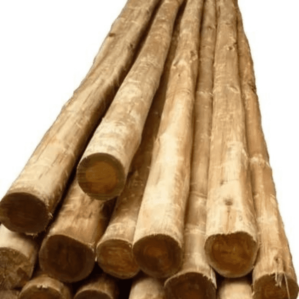 Vara de eucalipto de 2mts