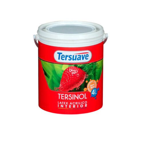 Tersinol Interior Mate 20lts